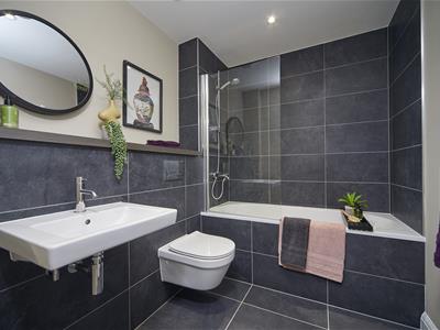 Picture 8